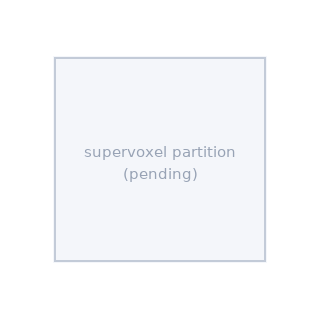 Supervoxel partition